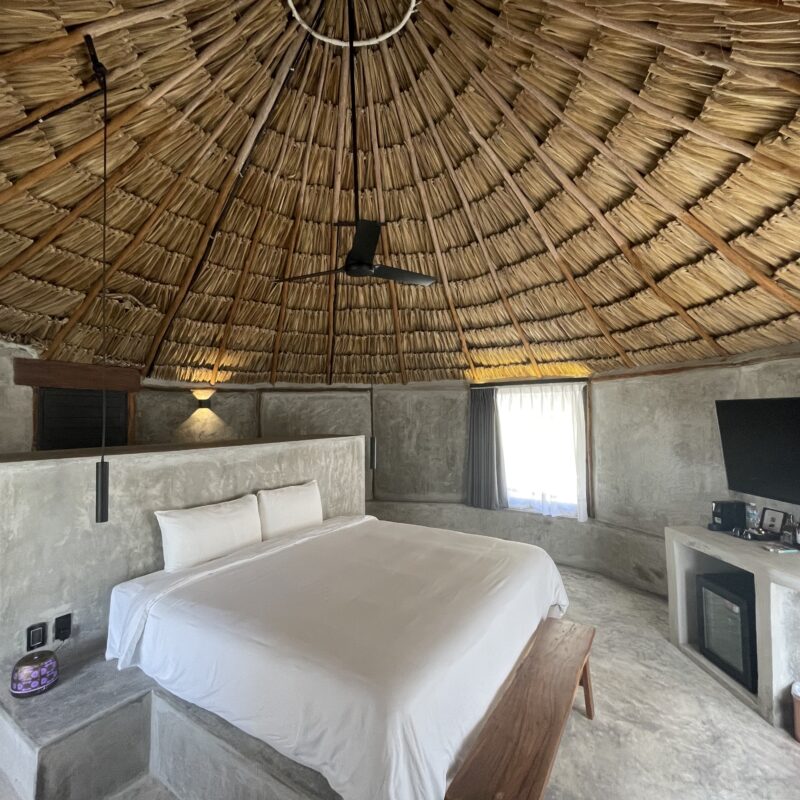 JUNGLE VIEW – Una Cama King Para Parejas o Individual