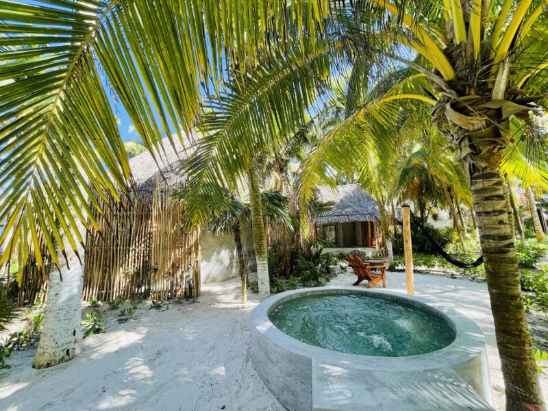 JUNGLE VIEW con Mini Piscina Privada – Una Cama King - Imagen 3
